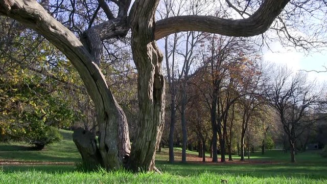 Roma, Italia. Villa Pamphili. Autunno. 
