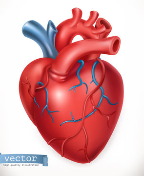 Human heart. Medicine, internal organs. 3d vector icon