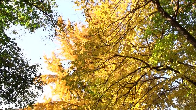 Roma, Italia. Villa Pamphili. Autunno. 