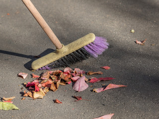 Cleaning the fallen autumn leaf with a broom