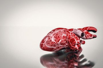 Human Heart Anatomy hearth health and disease concept 3d rendering