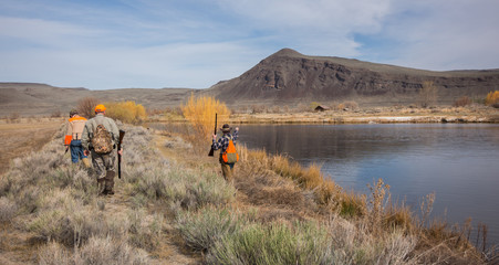 Open country