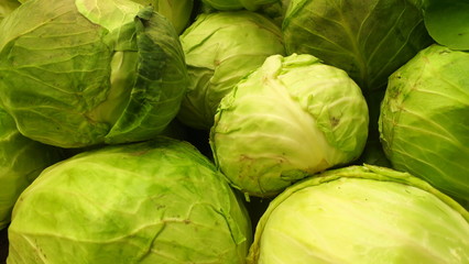 cabbage