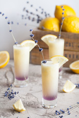 Lavender lemonade with fresh lemon juice, crushed ice for the rustic party or celebration