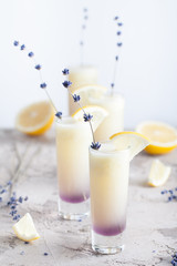 Lavender lemonade with fresh lemon juice, crushed ice for the rustic party or celebration