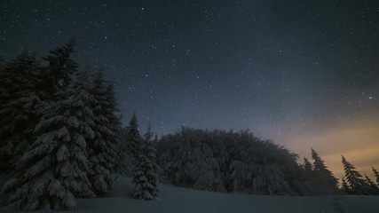 Christmas winter night landscape with stars sky moving over snowy trees. Astronomy time lapse zoom in