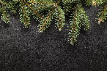 Christmas spruce tree on black background