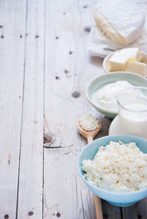Organic Farming Cottage cheese, sour cream, butter, cheese and milk