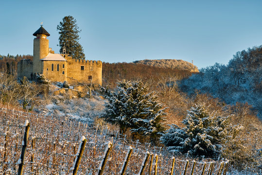 Schloss Birseck in Arlesheim 