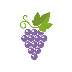 Grapes icon. Vector illustration of simple color grape with leaf, isolated on white.