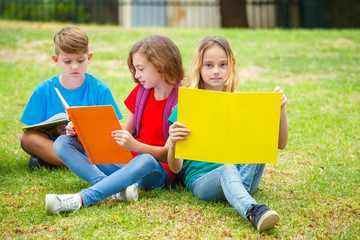 Droup of children reading books at the park