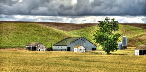 Barn And Shed In Field
