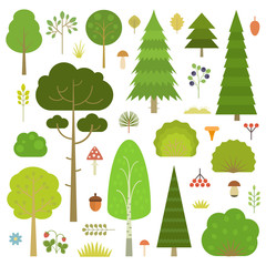 Set of flat vector forest elements: trees, spruce, pine, grass, mushrooms, moss, berries and bushes isolated on transparent background. © nadzeya26