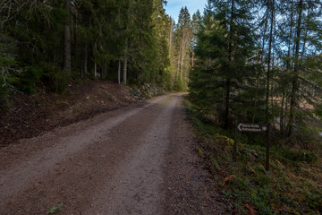 Fototapeta premium Norra Kvill National Park