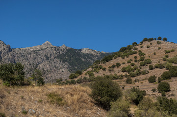 Fototapeta na wymiar Corsica, 31/08/2017: il paesaggio selvaggio dell'entroterra dell'isola con vista sugli alberi e le praterie della Valle dell'Asco, chiamata l'Alto Centro della Corsica