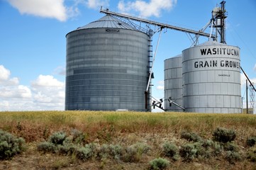 Grain Bins