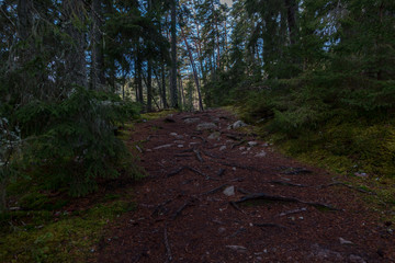 Norra Kvill National Park