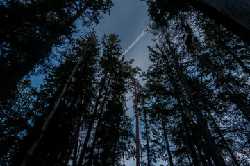 Norra Kvill National Park