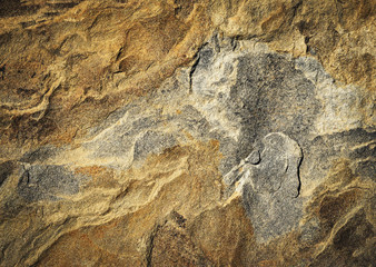 abstract surface of multicolored sandstone