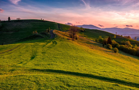 grassy pasture on hillside at sunset. beautiful springtime countryside in mountainous rural area