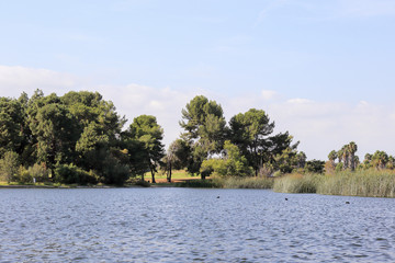 In the lake of El Dorado East Regional Park