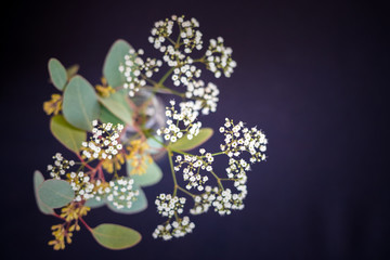 Zierliche Blüten als Tischdekoration