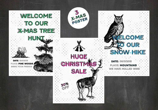 3 Winter Poster Layouts