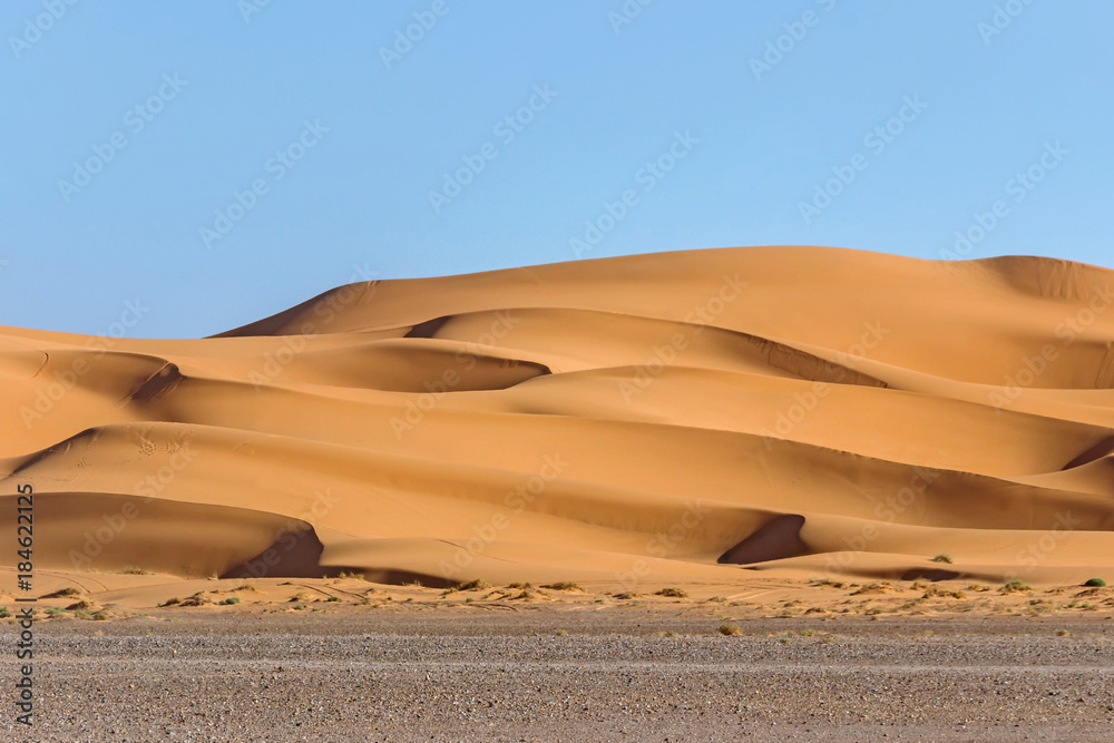 Canvas Prints landscape of golden sand dune in sahara desert