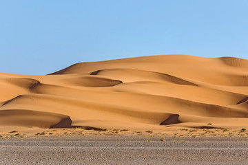 Fototapeta na wymiar landscape of golden sand dune in sahara desert