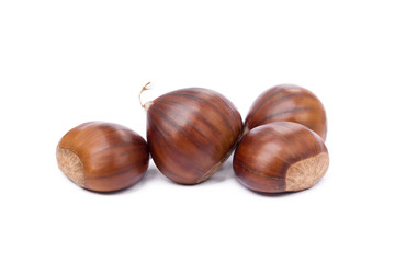 Chestnuts isolated on white background