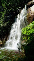 Waterfall. The water is being built. The flow of water on top of the rocks