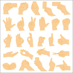 Human Hand collection