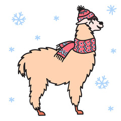 Vector illustration. Cute character lama