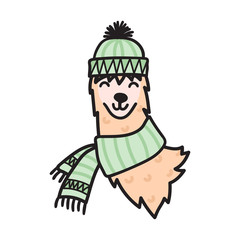 Vector illustration. Cute character lama