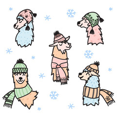 Vector illustration. Cute character lama