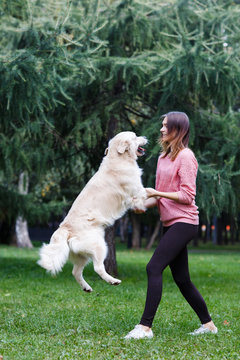 Image of brunette and jumping dog on green lawn