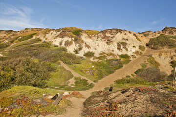 California Coast