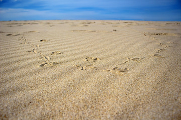 Blue sky and yellow sand background