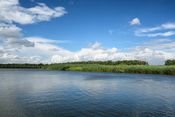 Pond and clouds in summer day