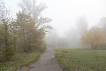 Fototapeta na wymiar Misty autumn morning
