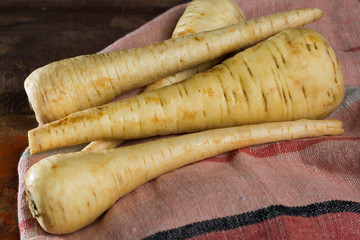 Uncooked parsnip roots new harvest