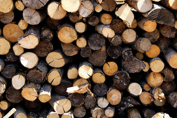 Pile of timber. Cut tree logs of different shapes, colors, and sizes