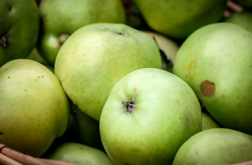 Reed Basket of Freshly Picked Granny Smith Apples