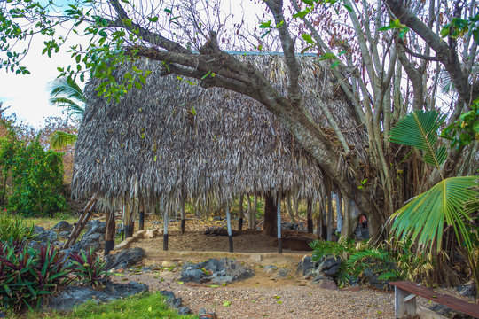 bure with thatched roof