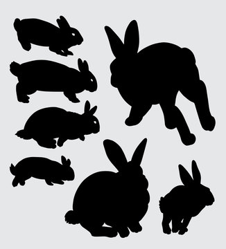 Rabbit pet animal silhouette Good use for symbol, logo, web icon, mascot, sign, sticker, or any design you want
