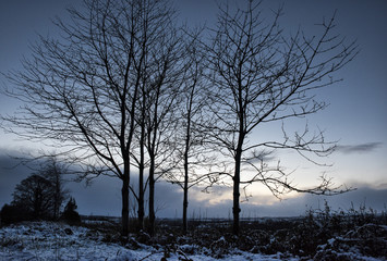 Fototapeta premium Landscape