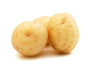 New potato isolated on white background close up