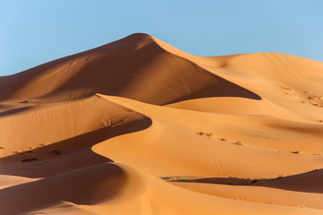 landscape of golden sand dune with blue sky in Sahara desert - obrazy, fototapety, plakaty