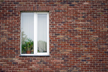 A window in a brick wall