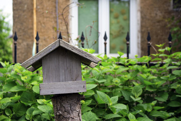 Wooden bird feeder